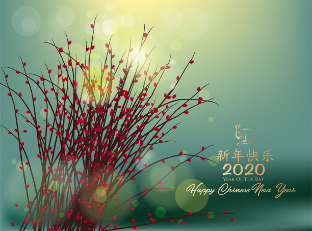 2020年大礼包