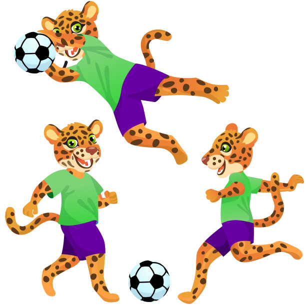 足球与豹