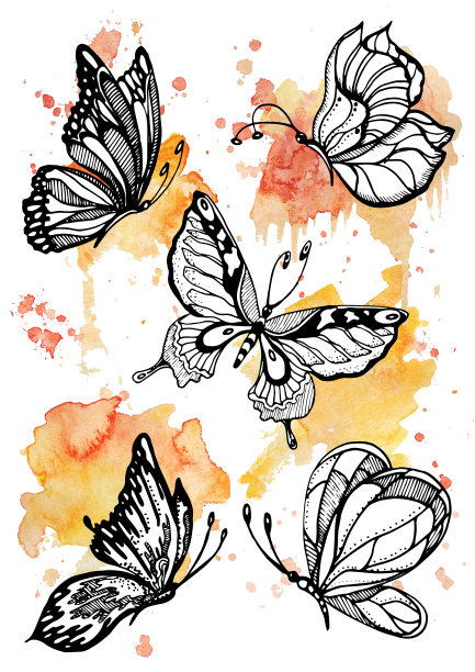 卡通蝴蝶logo