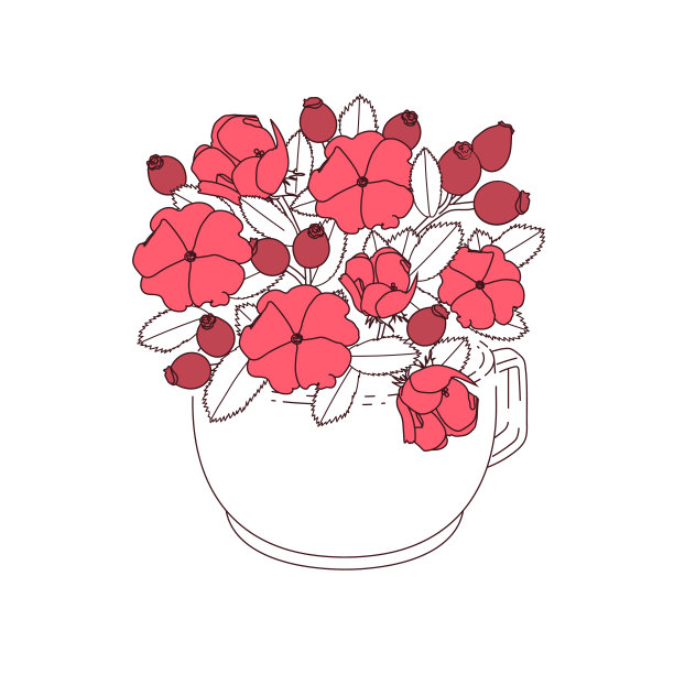 蔷薇插画