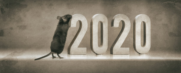 数字老鼠新年2020