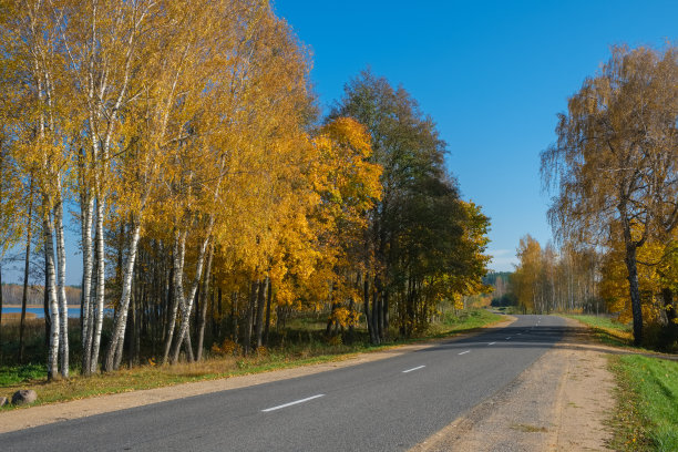 白桦林公路