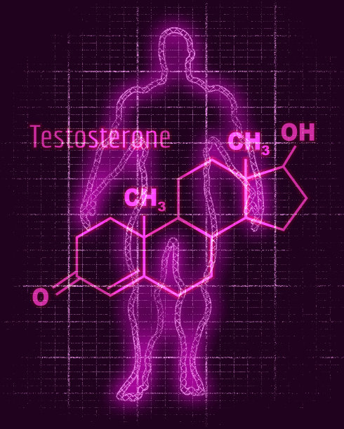 科学减脂