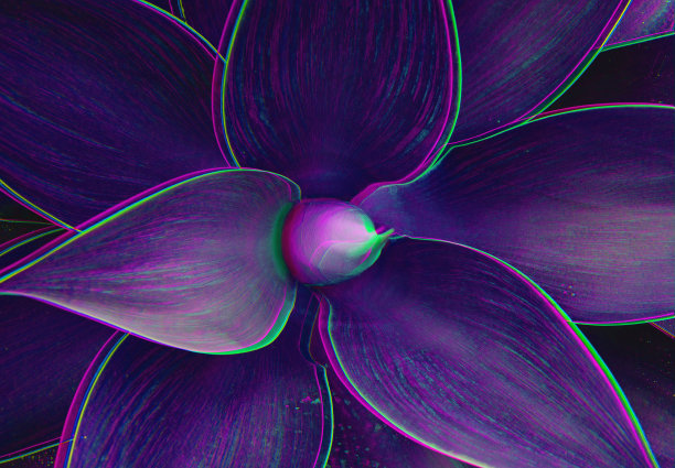 紫色科幻花朵