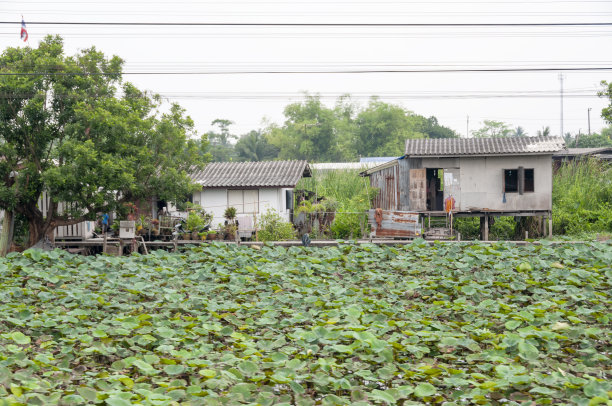 绿色小屋子