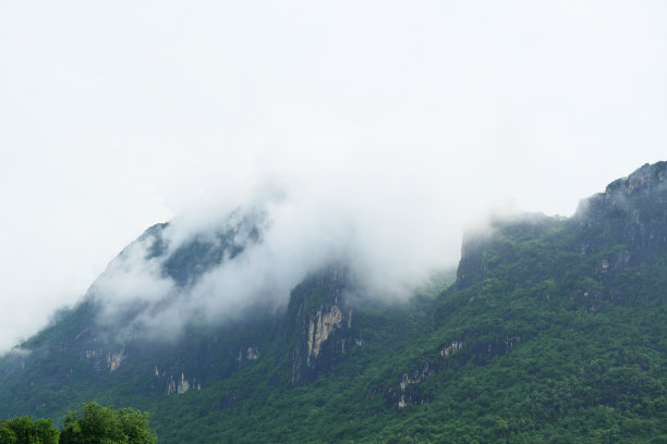 雨林的云雾