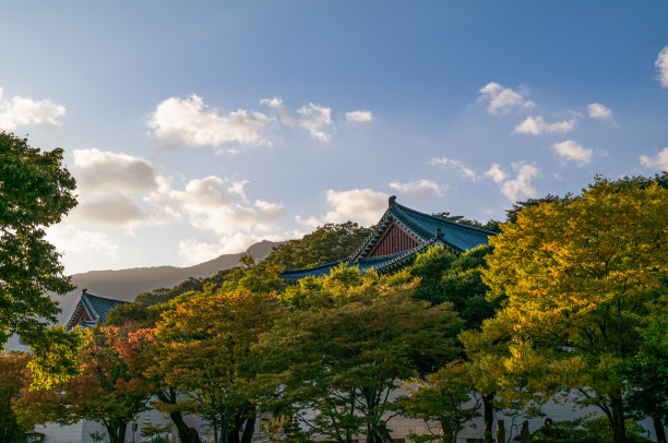 秋天的寺院