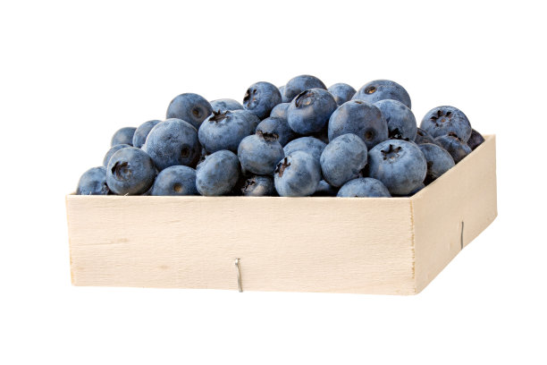 蓝莓彩箱