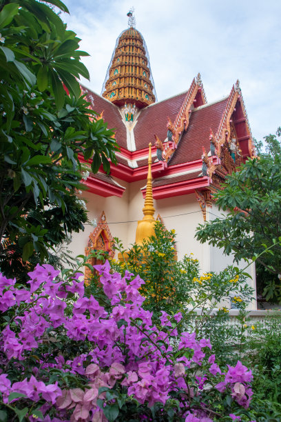 龙花寺