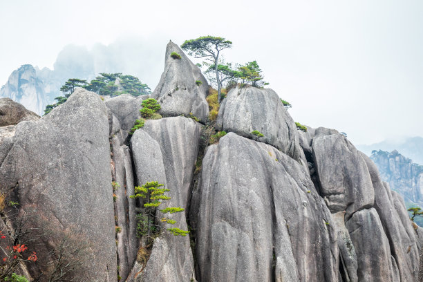 风雨黄山