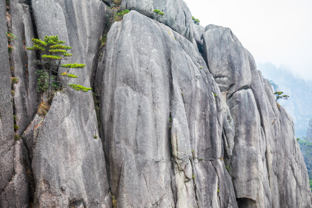 风雨黄山