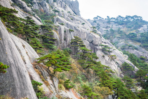 风雨黄山