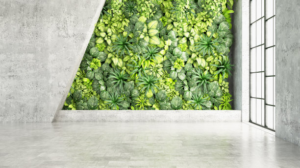 花墙,植物墙