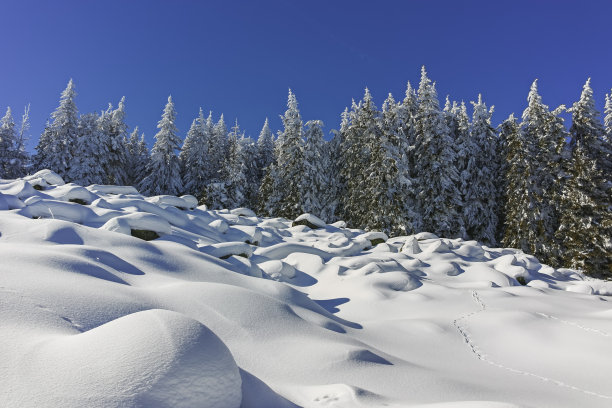 草坪 冬天 下雪 雪景