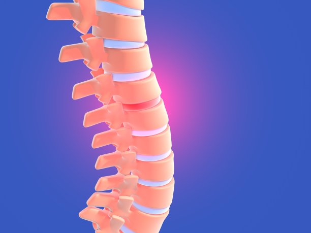 疼痛与脊柱