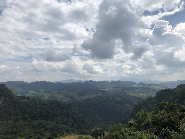 盛夏活动背景板