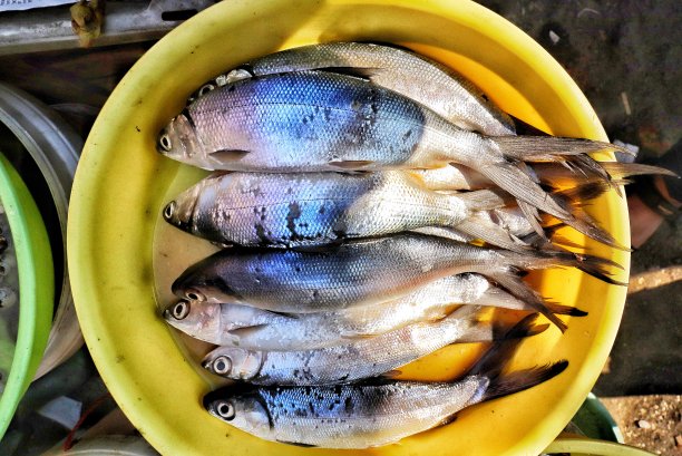 海鲜促销新鲜海鲜