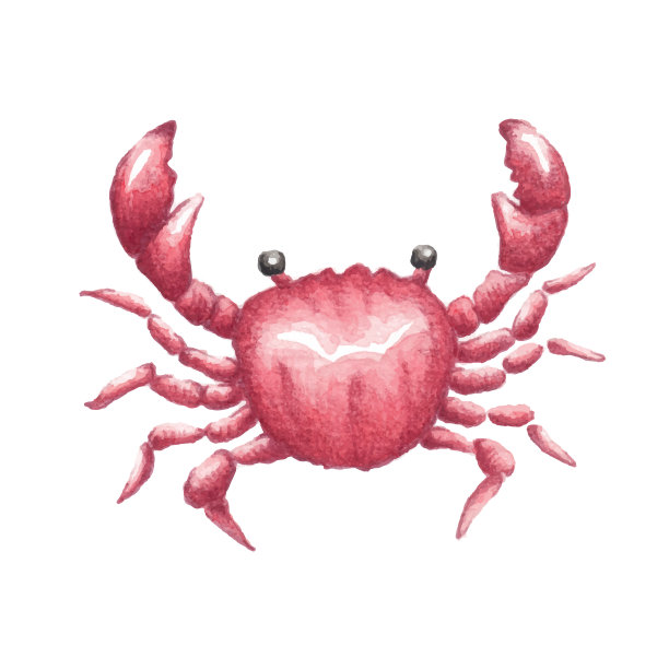螃蟹水粉插画