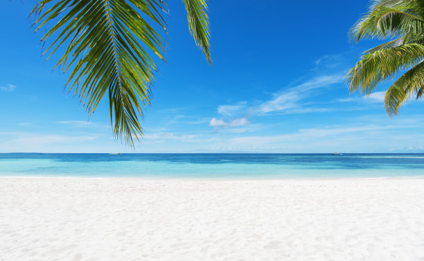 夏日海滩背景