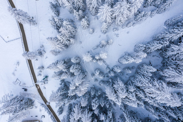 冰雪飞扬