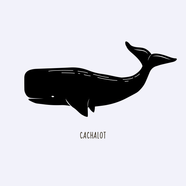 大鲸鱼卡通