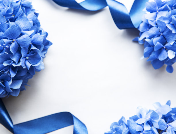蓝色花卉框架