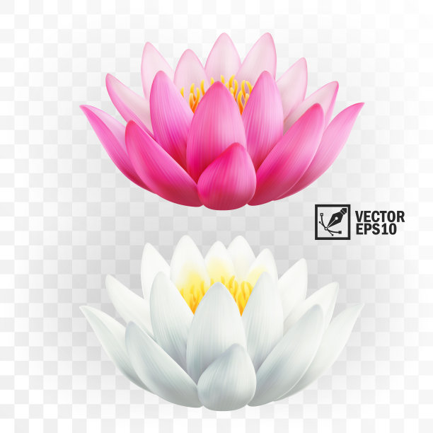 鲜花logo