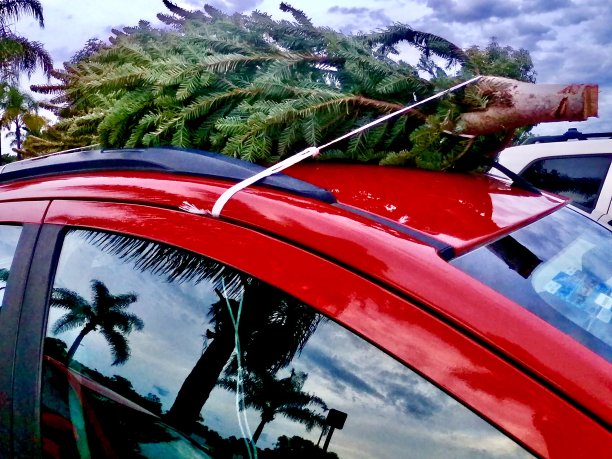 红色小汽车圣诞节