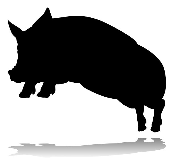 猪标志设计