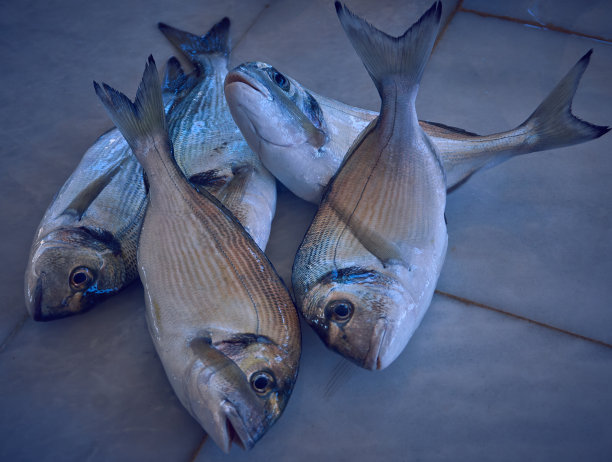 海鲜美食宣传