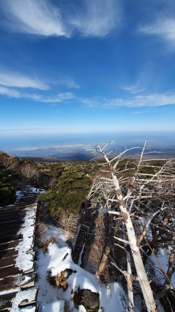 冬日美景