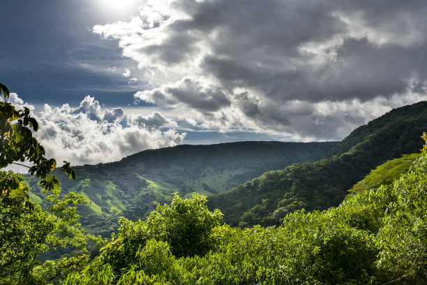 远山丛林美景