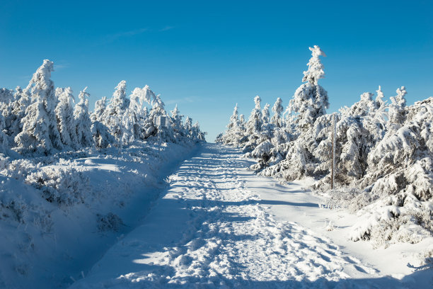 小雪海报