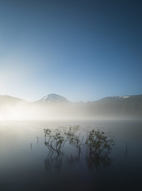 湖 冬鸟