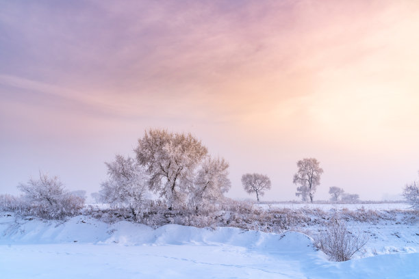 白雪吉林