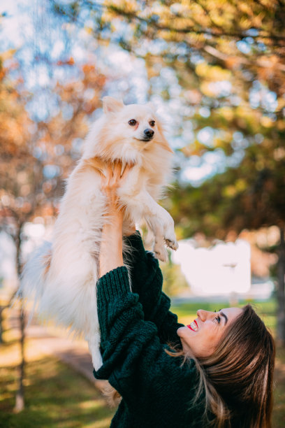 狐狸美女