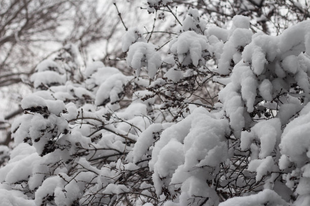 积雪寒冷小雪小寒大寒