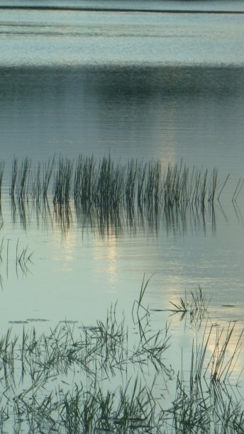 夕阳水纹湖泊波纹