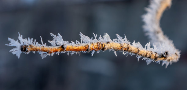 积雪寒冷小雪小寒大寒