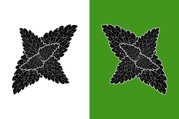 草本植物logo