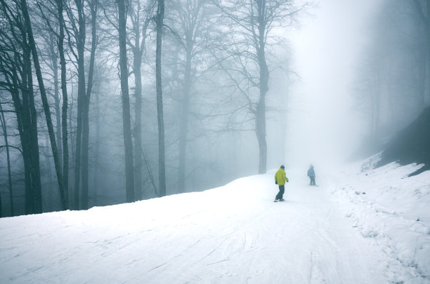 森林雪景树林雪景