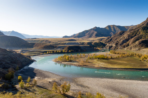 白桦林,全景图