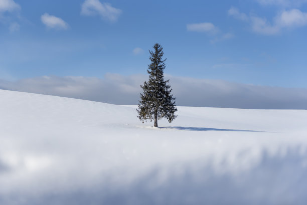 冬天冬季冰雪圣诞旅游立冬至