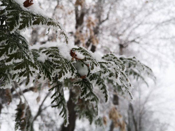 冬天冬季冰雪圣诞旅游立冬至