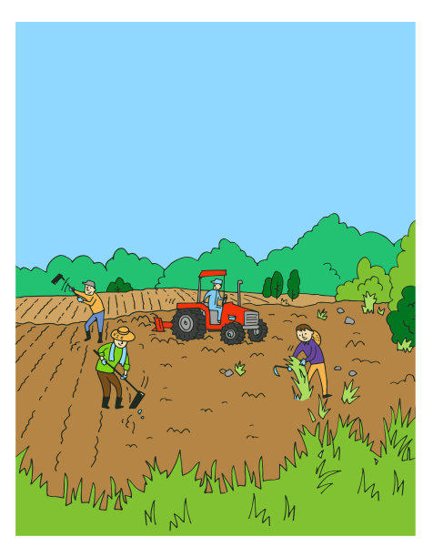 农家水果插画