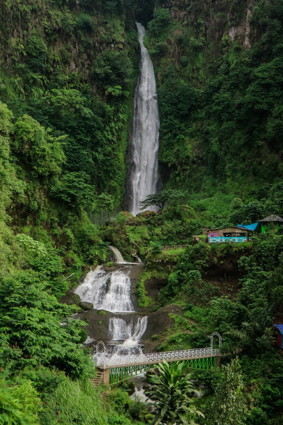 茂密丛林美景