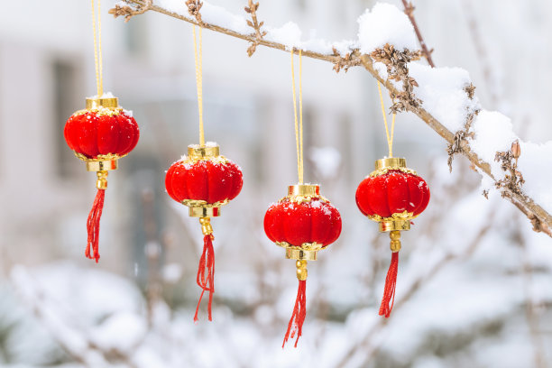 瑞雪兆丰年