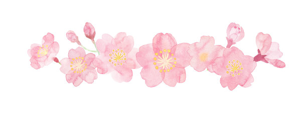 手绘花卉花朵背景