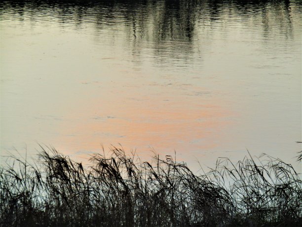 夕阳下的公园水面