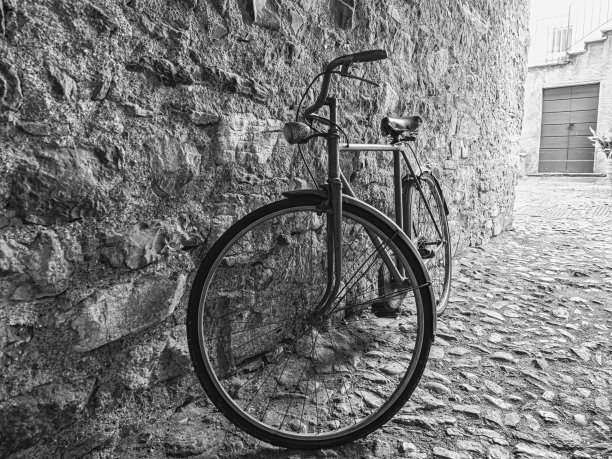 意大利老自行车